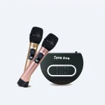 Karaoke machine Wired Streaming media player with two microphone