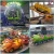 Import Kids attraction amusement park other adults family rides sell used adventure kids rides amusement park from China
