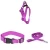 Import Kingtale adjustable easy walk dog pet harness step in and matching leash collar set from China