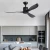 Import Kitchen appliance indoor living room leaf shape blades ceiling fan from China