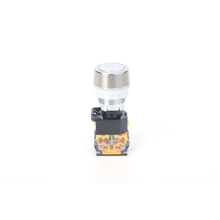 LA39 explosion-proof self-locking control button stainless steel head 10 mm momentary push button switch