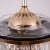 Import Lighting Factory Bedroom Led Chandelier Fan Ceiling Fan Light from China