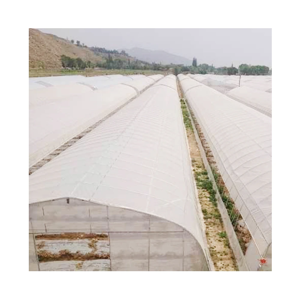 Low cost commercial greenhouses single tunnel agricultural green house hot galvanized steel frame hoop house