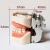 Import Medical simulation pvc human anatomical dental model human teeth orthodontic model from China