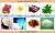 Melon Seeds Vertical Fully Automatic Multi Function Pillow Bag Packing Machine