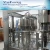Import Mineral/Pure water filling machine/bottling plant from China