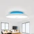Import Modern LED ceiling Light Dimmable 36W 52W APP Remote control Smart home Bluetooth speaker music lamp bedroom ring 220V light from China