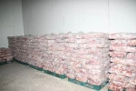 Mongolian frozen, boneless sheep and goat meat
