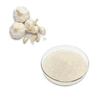 Most Powful Garlic Extract 5% Allicin Powder