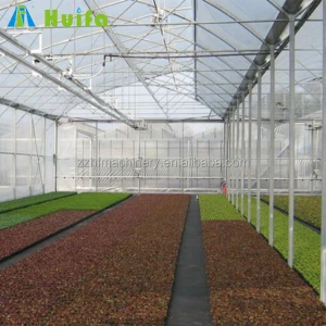 Multi-span hydroponic agricultural film greenhouse