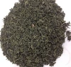 NA Quality Green Tea For Sales