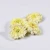 Import Natural Dried Gongju tribute chrysanthemum Flower tea from China