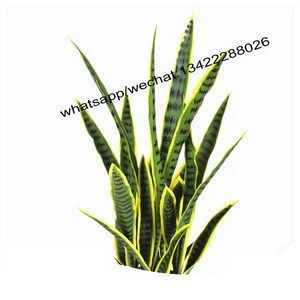Nearly natural realistic artificial sansevieria indoor ornamental plant