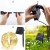Import New 100 powered outdoor garden party christmas solar led light string,led solar string light from China