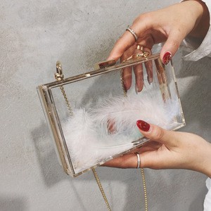 New Acrylic feather transparent bag personality small bag girl shoulder chain bag for women