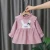 Import New children&#39;s dress girl&#39;s spring and autumn baby long sleeve skirt Korean version 0-3-year-old baby skirt from China
