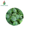 New crop grade A fresh organic vegetables frozen broccoli