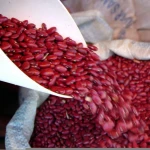 New crop Red Kidney beans