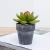 Import New design custom decorative small mini potted fake succulent artificial plant in pulp flowerpot from China