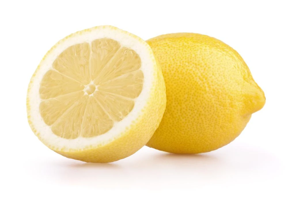 New Harvest Fresh citrus lemon for sale at discounted price