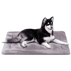 New Manufacturer Popular Fashion Pet Bed Pet Product Made In China
