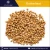 New Premium Natural Ukranian Low Priced Organic Buckwheat for Wholesale Supply