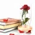 Import New Products Red rose gifts Red Roses Flower with Led Lights in Glass Dome from China
