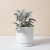 Import New Simple Ceramic Plant Pots Wholesale from China