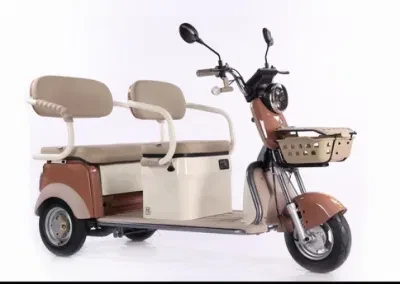 New Style Electric Tricycle for Picking up Children Passengers and Cargo