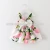Import New Summer Infant and toddle dress baby clothes colorful baby dress from China