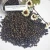 NEW UPDATE PRICE HIGH QUALITY ASSURED BY SGS 500GL/550GL/5MM CLEANED BLACK PEPPER