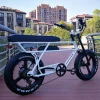 Newest 48V 500W Power 20inch Two People Fat Tire Electric Bike With Long Seat E Bike For Adults