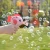 Import Newest Hand Push Fish Soap Bubble Gun  Machine For Kids Play With No Battery bubble toys from China