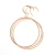 Import Nordic Home Rose Gold Metal Iron Round Clothes Hanger Large Line Towel Scarf Hanger Multifunction Silk Scarf Storage Rack from China