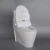 NZMAN Intelligent Toilet Seat,Hygienic Toilet Seat,Toilet Seat Cover ET301A
