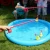 Import OEM customezed low MOQ Inflatable pool and duck fishing toy suit from China