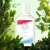 Import OEM private label nourishing massage oil baby oil from China
