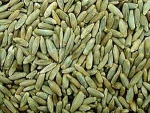 Organic rye