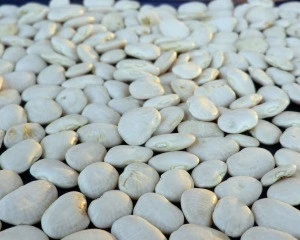 Organic White Lima Beans