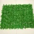 Import Outdoor green ivy leaf grass artificial fence from China