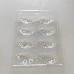 Plastic box of sea urchin