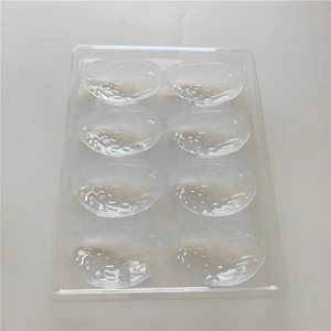 Plastic box of sea urchin