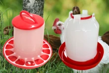 plastic chicken water drinking and feeder products for poultry