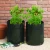 Import Plastic Garden Plant Grow Bags Potato Grow Bags from China