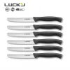 Plastic Handle Stainless Steel Kitchen Steak Knife Set