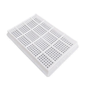 PP material seedling tray for hydroponic using with black and white 2 colors