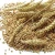 Import Premium Quality Durum Wheat Grains, Variety of Wheat in Excellent Price from South Africa