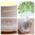 Import preserved fresh flower essential oil aroma diffuser ultrasonic  humidifier with 7 colors led light changing from China