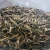 Import price of black morel mushroom black fungus mushroom magic mushrooms dried from China