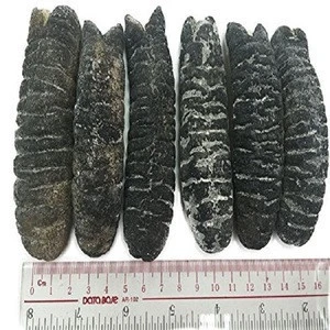 Price of dried sea cucumber